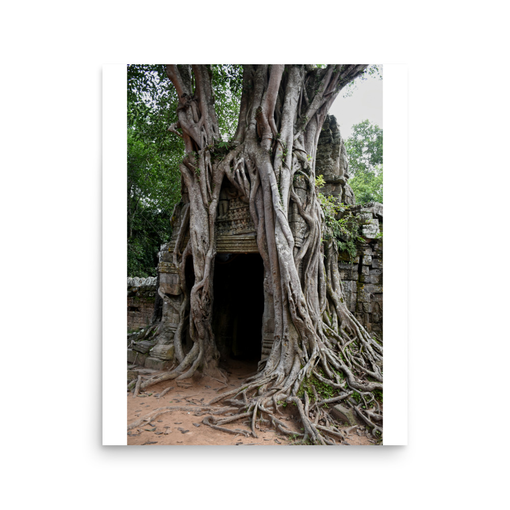 Poster - Image 7