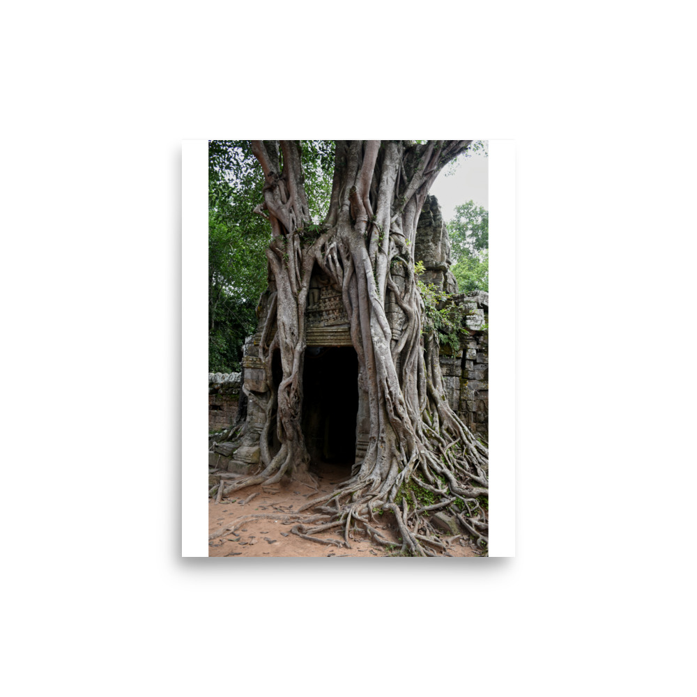 Poster - Image 12